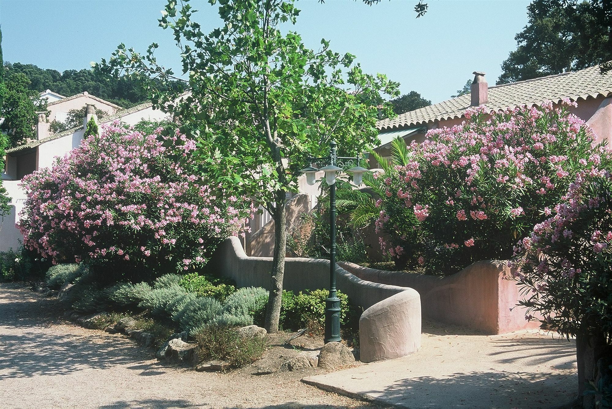 Residence Vasca D'Oro Porto-Vecchio  Eksteriør bilde